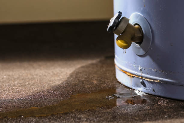 Best Mold removal after water damage  in Walton Hills, OH