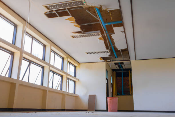 Best Ceiling water damage repair  in Walton Hills, OH