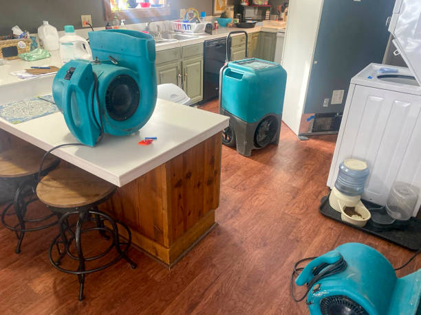 Best Water damage restoration near me  in Walton Hills, OH